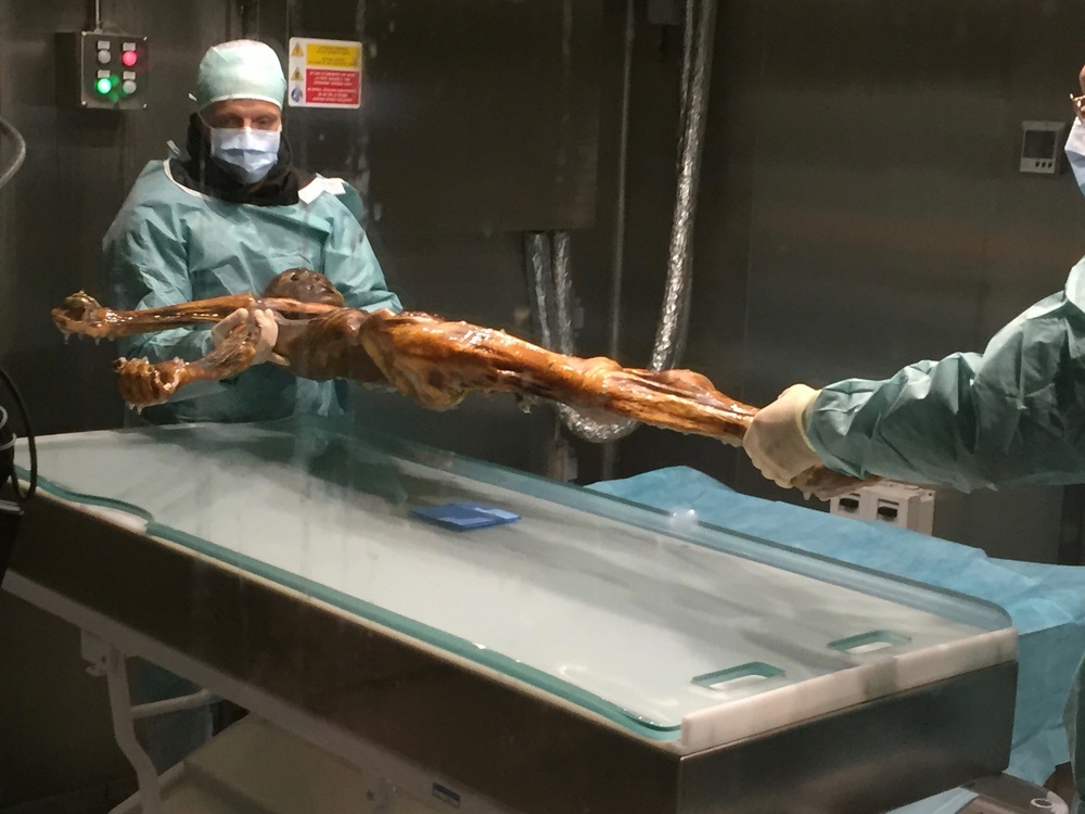 Lettino per Ötzi, la mummia del Similaum