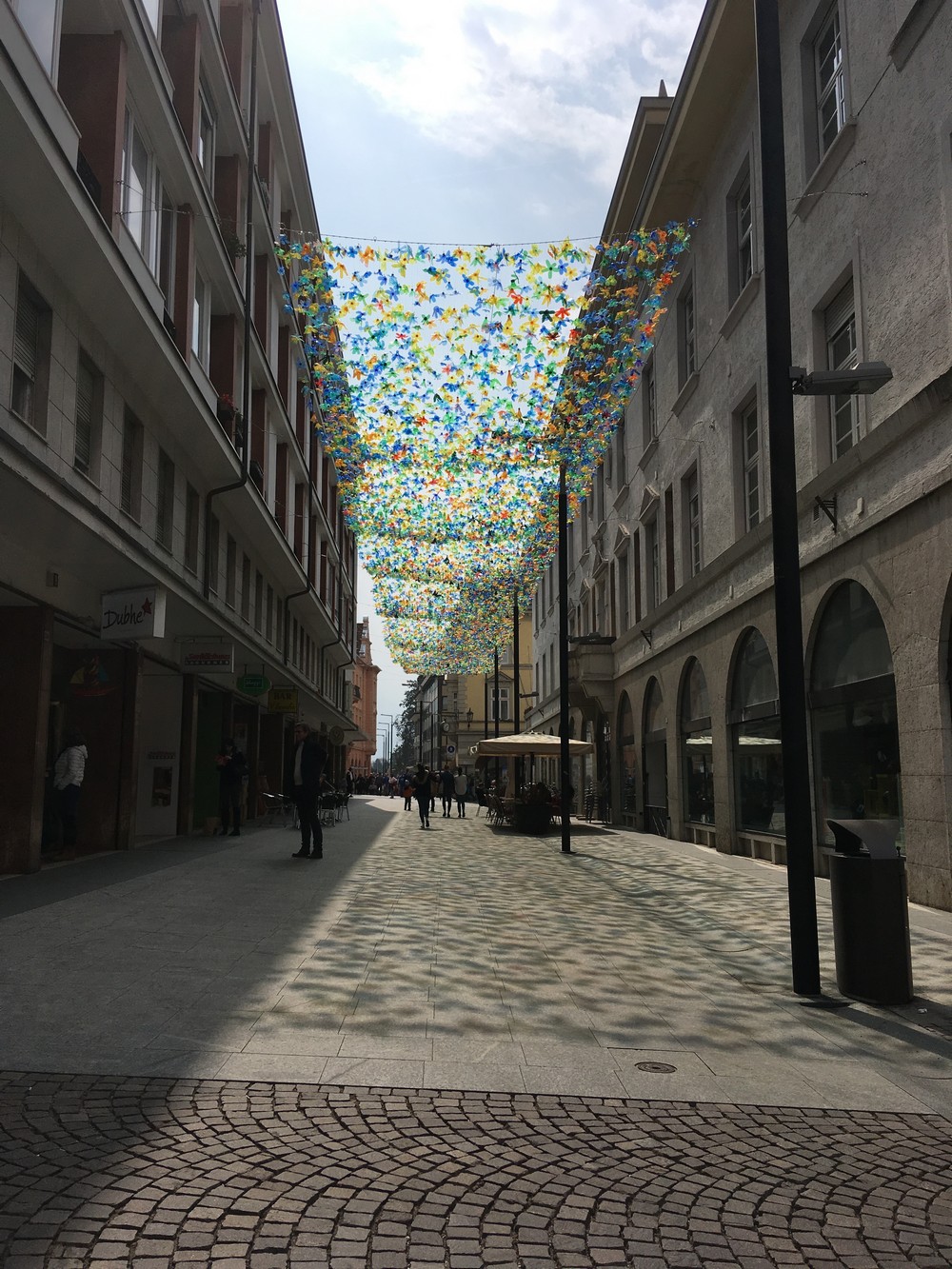 Prato Fiorito Merano Copia