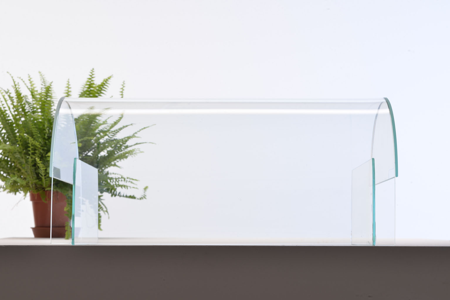 Plants Under Cover